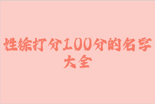 姓徐打分100分的名字大全