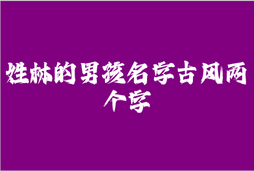 姓林的男孩名字古風兩個字