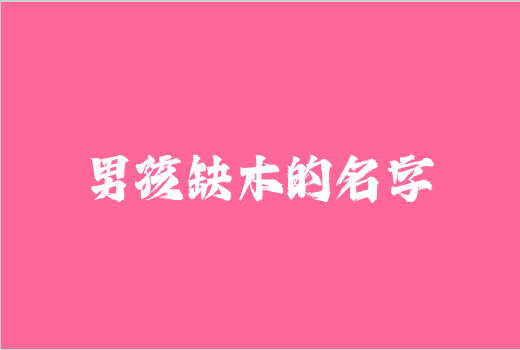 男孩缺木的名字