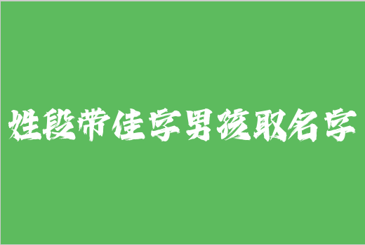姓段帶佳字男孩取名字