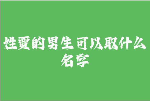 姓賈的男生可以取什么名字
